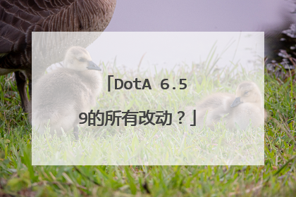DotA 6.59的所有改动？