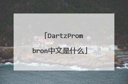 DartzPrombron中文是什么