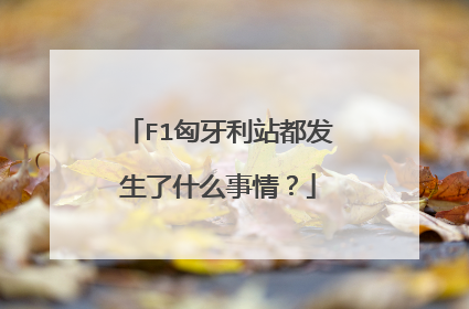 F1匈牙利站都发生了什么事情？