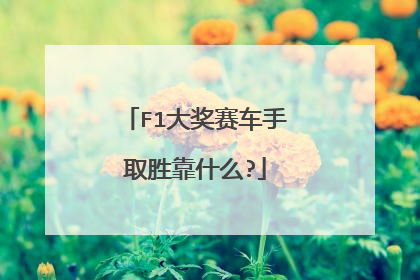 F1大奖赛车手取胜靠什么?