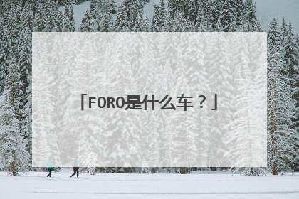 FORO是什么车？