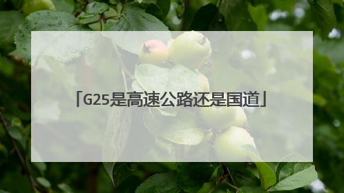 G25是高速公路还是国道
