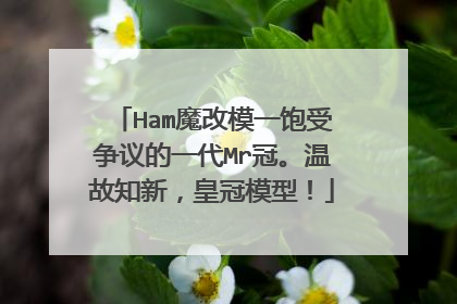 Ham魔改模一饱受争议的一代Mr冠。温故知新，皇冠模型！