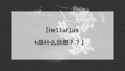 HellaFlush是什么意思？？