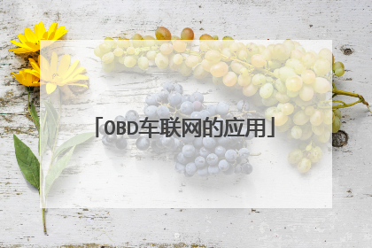 OBD车联网的应用