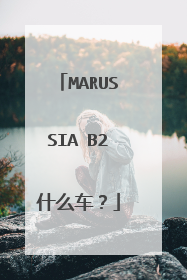 MARUSSIA B2什么车？