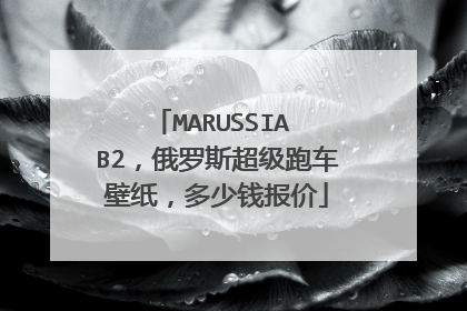 MARUSSIA B2，俄罗斯超级跑车壁纸，多少钱报价