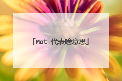 Mot 代表啥意思