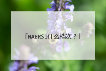 NAERSI什么档次？