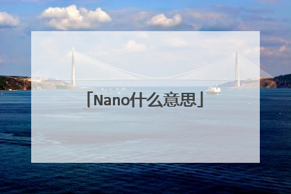 Nano什么意思