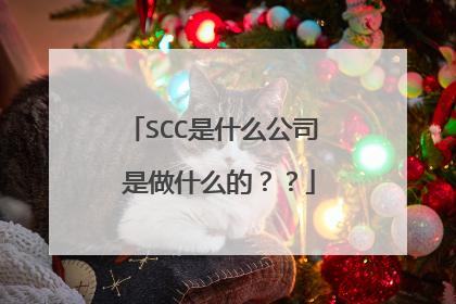 SCC是什么公司 是做什么的？？