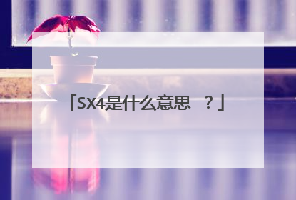 SX4是什么意思 ？