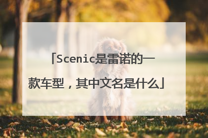 Scenic是雷诺的一款车型，其中文名是什么