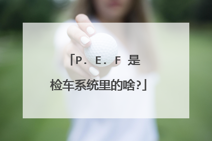 P. E. F 是检车系统里的啥?
