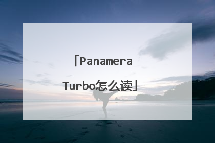 Panamera Turbo怎么读