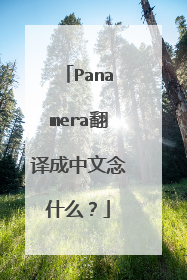 Panamera翻译成中文念什么？