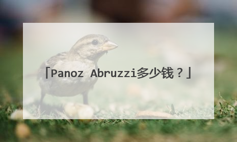 Panoz Abruzzi多少钱？