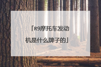 R9摩托车发动机是什么牌子的