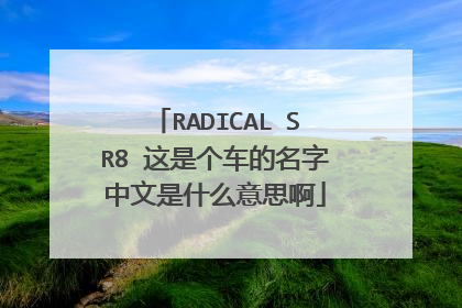 RADICAL SR8 这是个车的名字中文是什么意思啊