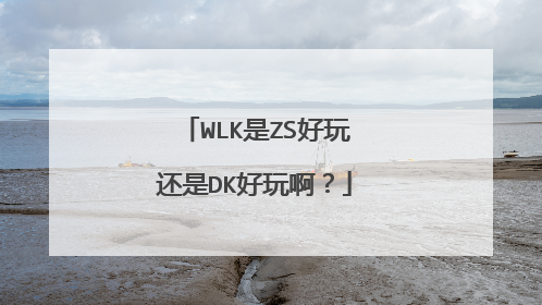 WLK是ZS好玩还是DK好玩啊？