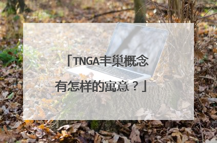 TNGA丰巢概念有怎样的寓意？