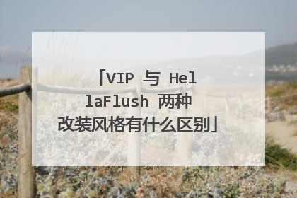 VIP 与 HellaFlush 两种改装风格有什么区别