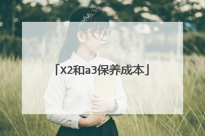 X2和a3保养成本