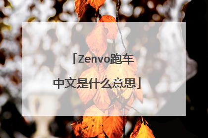 Zenvo跑车中文是什么意思