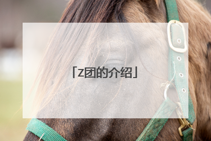 Z团的介绍