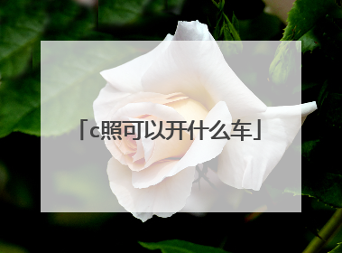 c照可以开什么车