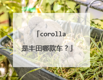 corolla是丰田哪款车？