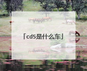 cd5是什么车