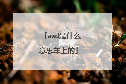 awd是什么意思车上的