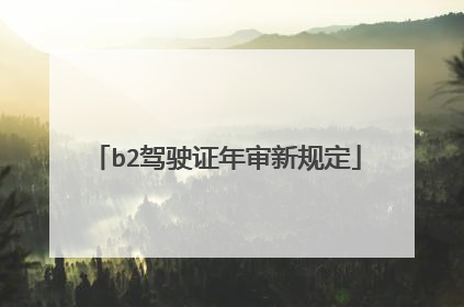 b2驾驶证年审新规定