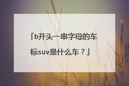 b开头一串字母的车标suv是什么车？