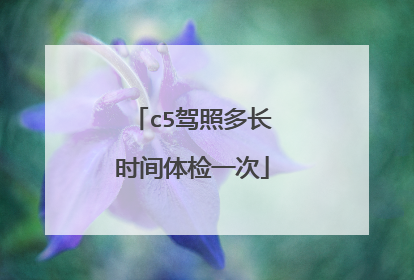 c5驾照多长时间体检一次