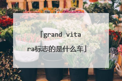 grand vitara标志的是什么车