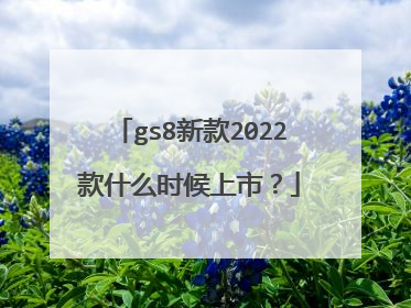 gs8新款2022款什么时候上市？