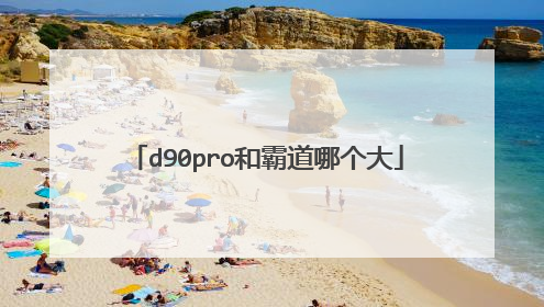 d90pro和霸道哪个大