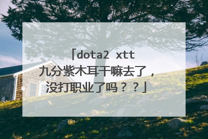 dota2 xtt九分紫木耳干嘛去了，没打职业了吗？？