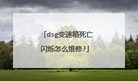dsg变速箱死亡闪烁怎么维修?