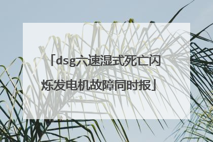 dsg六速湿式死亡闪烁发电机故障同时报