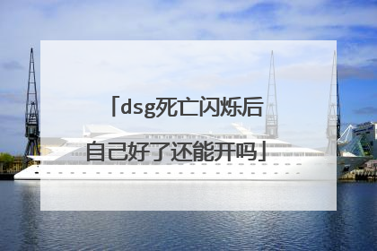 dsg死亡闪烁后自己好了还能开吗