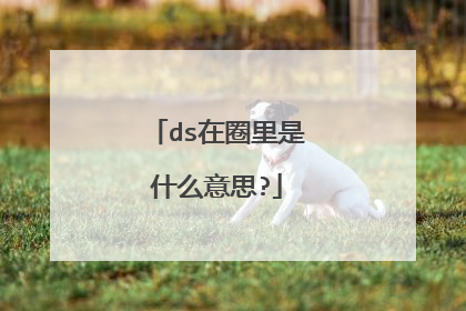 ds在圈里是什么意思?