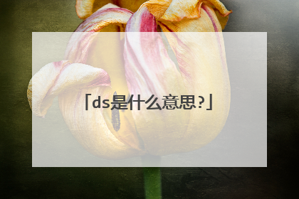 ds是什么意思?