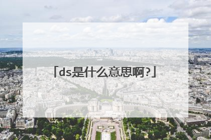 ds是什么意思啊?