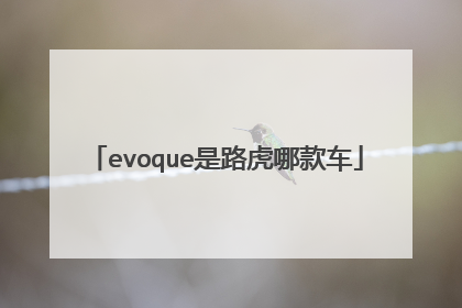 evoque是路虎哪款车