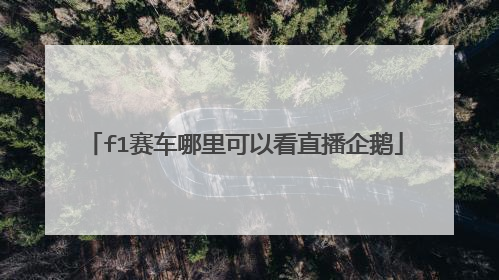 f1赛车哪里可以看直播企鹅