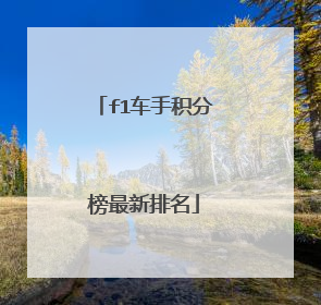f1车手积分榜最新排名