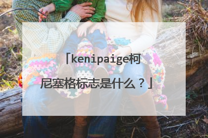 kenipaige柯尼塞格标志是什么？
